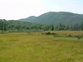 Hokkaido Niseko
